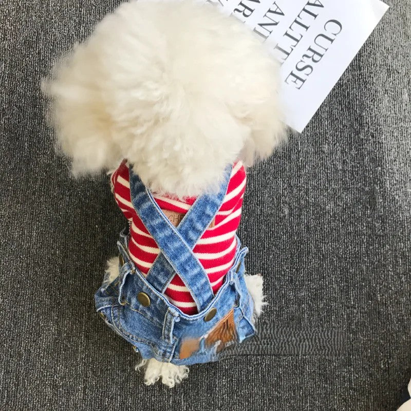 Combinaison en jean pour chien