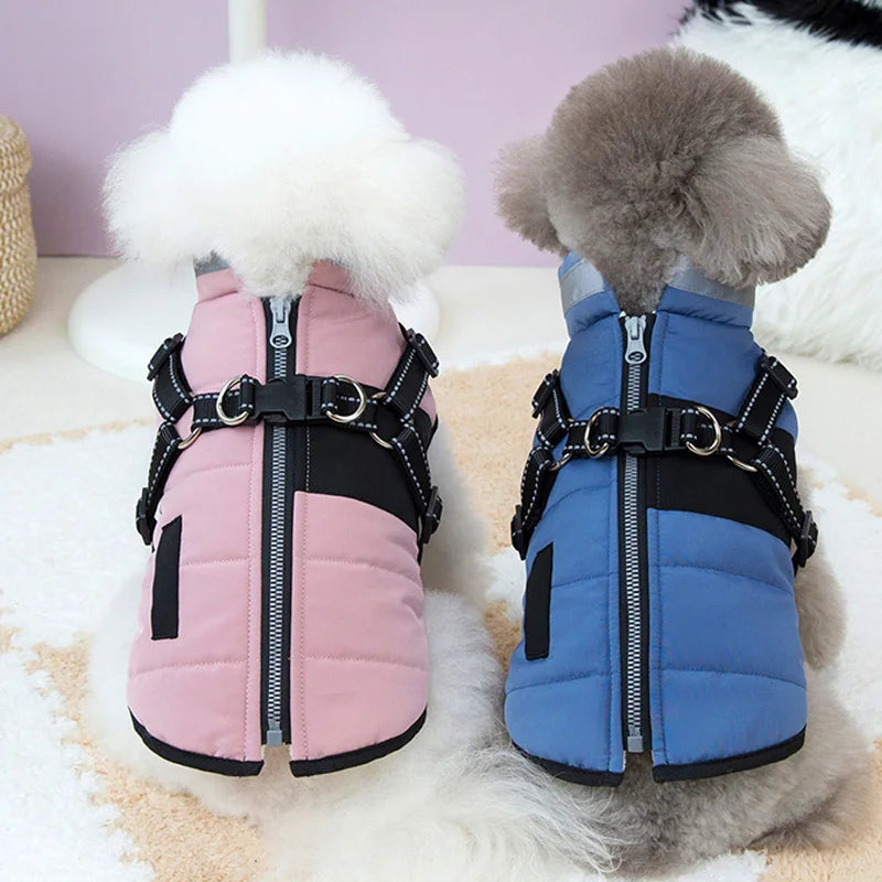Veste d'hiver réfléchissante pour petits et moyens chiens