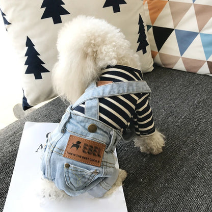 Combinaison en jean pour chien