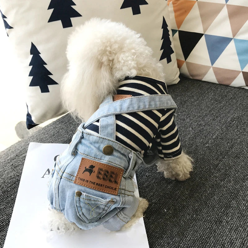 Combinaison en jean pour chien