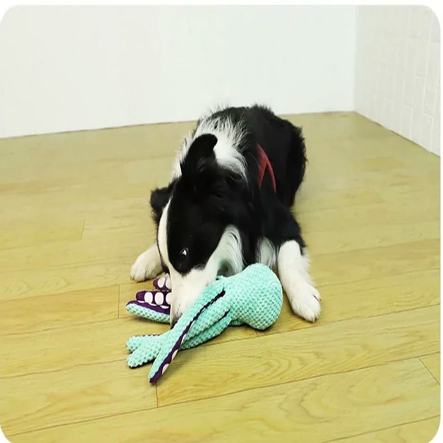 OCTOPLAY – Peluche pieuvre sonore pour chien