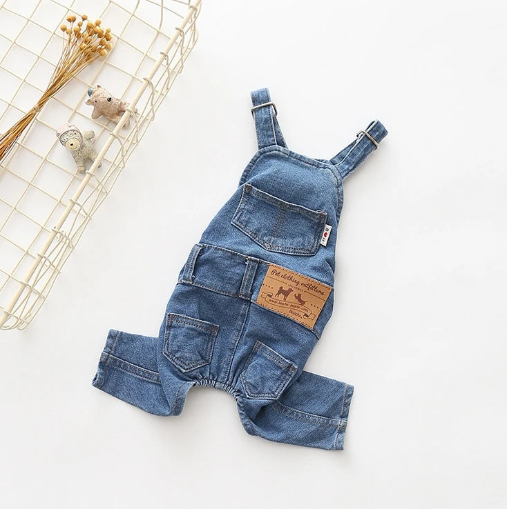 Combinaison en jean pour chien
