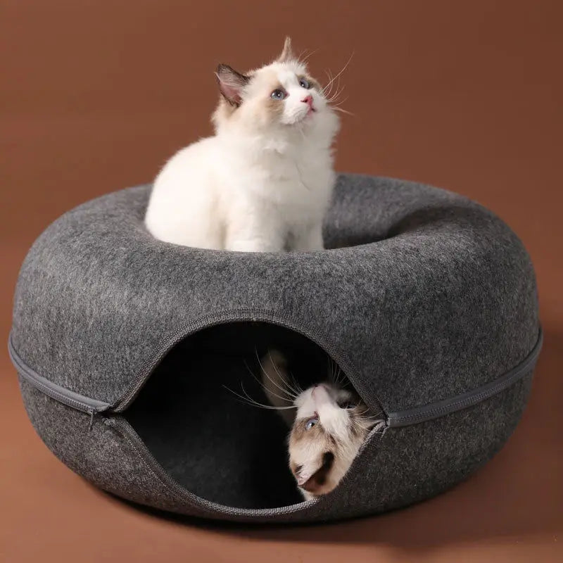 Tunnel et lit pour chat à double usage – Jouet interactif et lit douillet pour chatons d'intérieur
