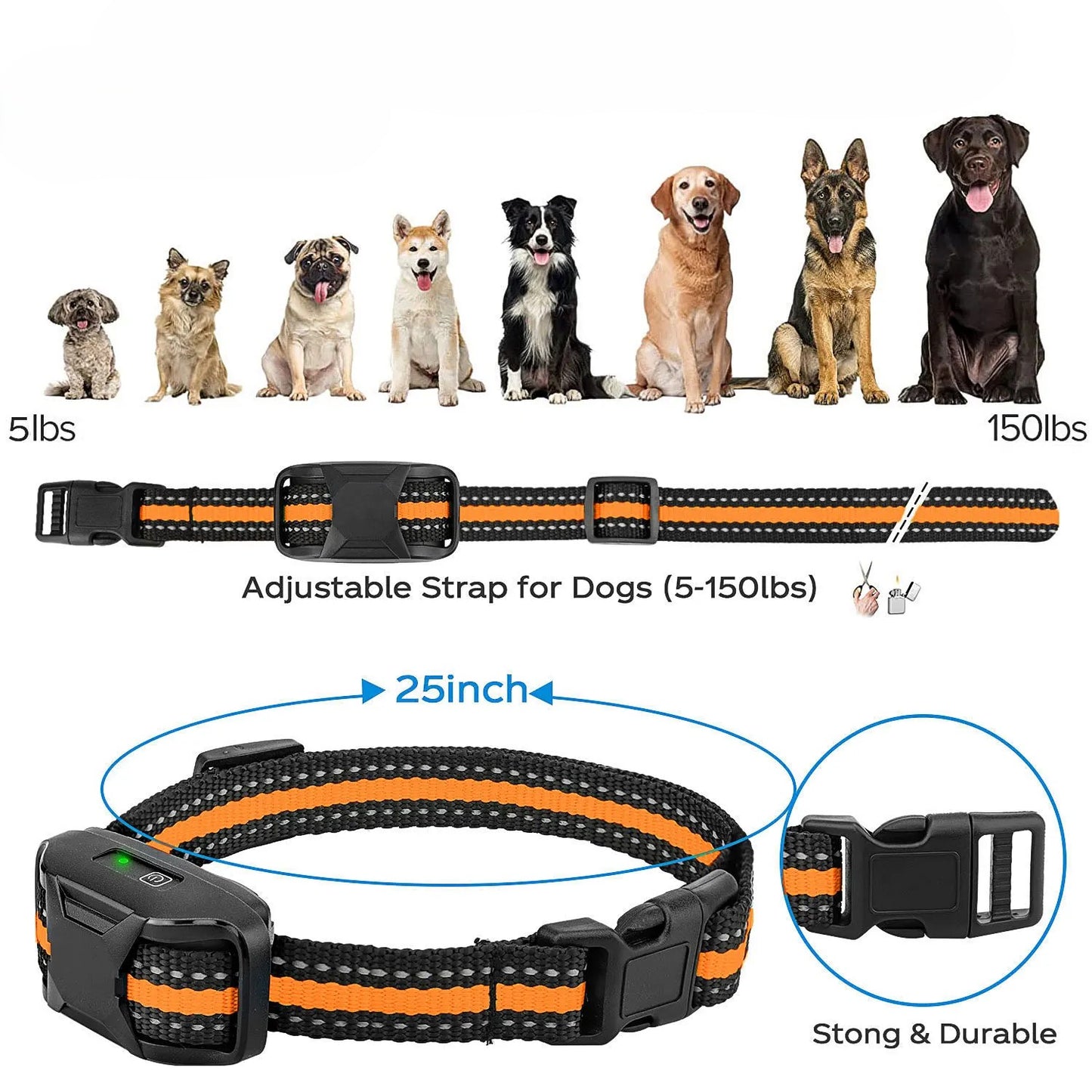 CANIS PRO | Collier de dressage avec système intelligent et télécommande