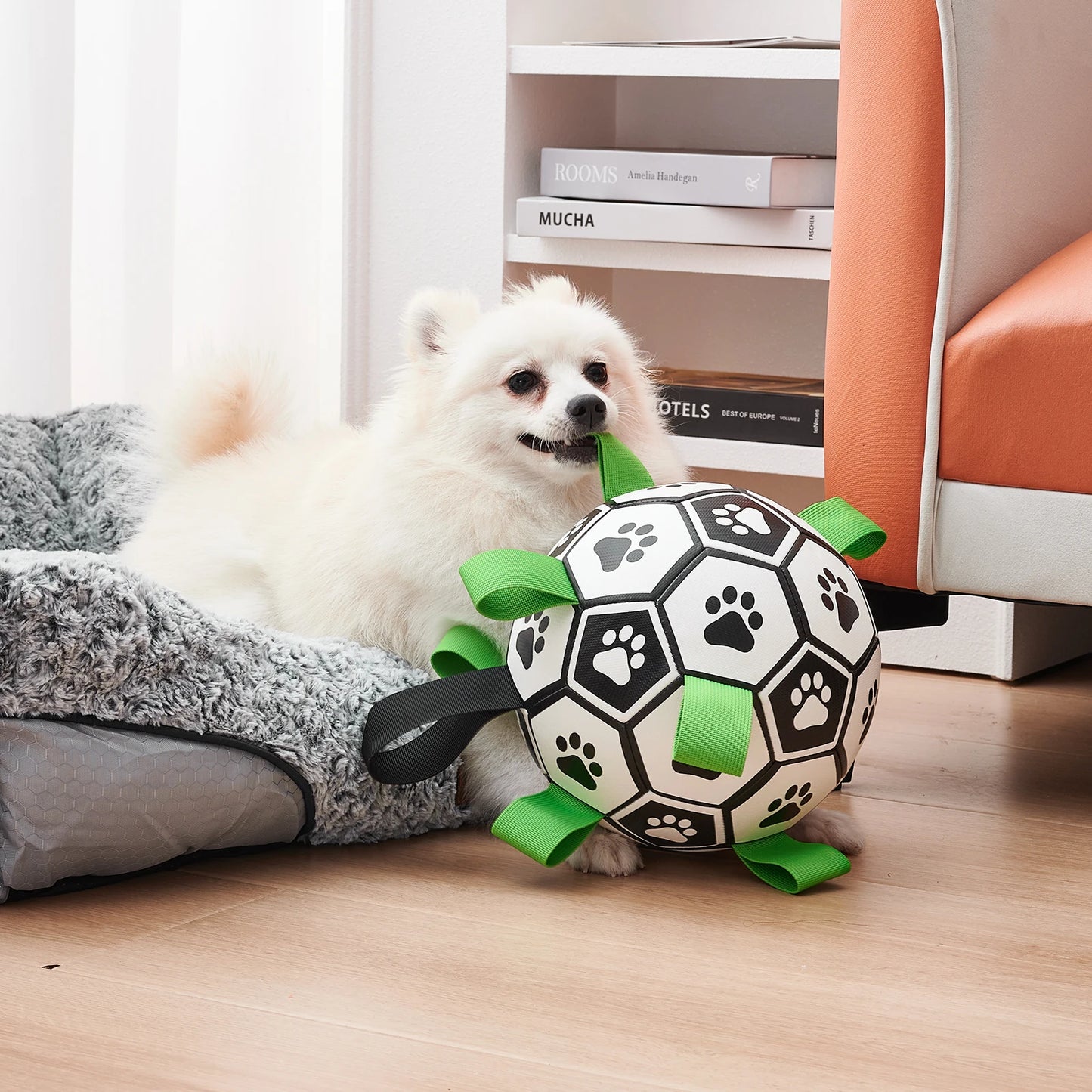 Ballon de football interactif pour chiens – Jouet d'entraînement gonflable pour chiens